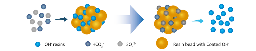 A working process of anion exchange.