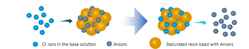 The regeneration reaction of anion resins.