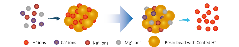 A working process of cation exchange.