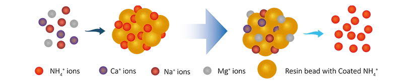 A reaction process of cation resins of Hydrogen-Type (H-OH) Mixed Bed.