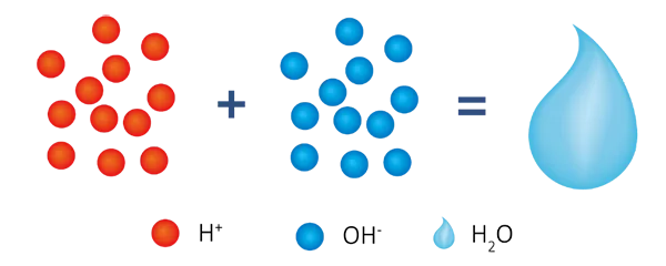 The final reaction process of Hydrogen-Type (H-OH) Mixed Bed.