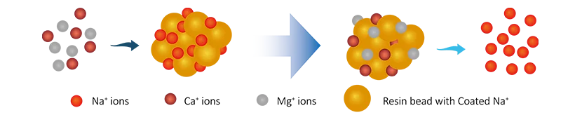 An ion exchange process of drinking water softening which the hardness ions are exchanged with sodium ions for softening waters.