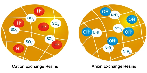 The structure comparison of cation and anion exchange resins.
