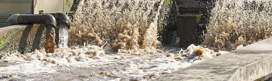 A wastewater treatment plant and some wastewater are discharged.