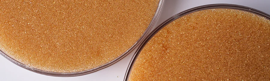 Two bowl of strong base anion exchange resins on the table.