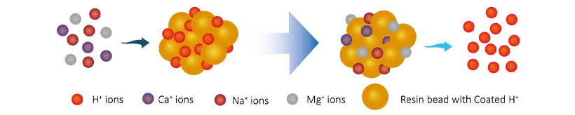 A reaction process of cation resins of ultrapure water mixed bed polishing.